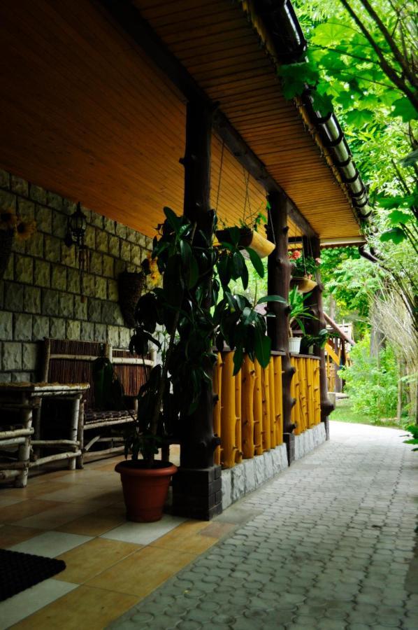 Bora Zdroj - Pokoj Czteroosobowy 1 Narewka Экстерьер фото