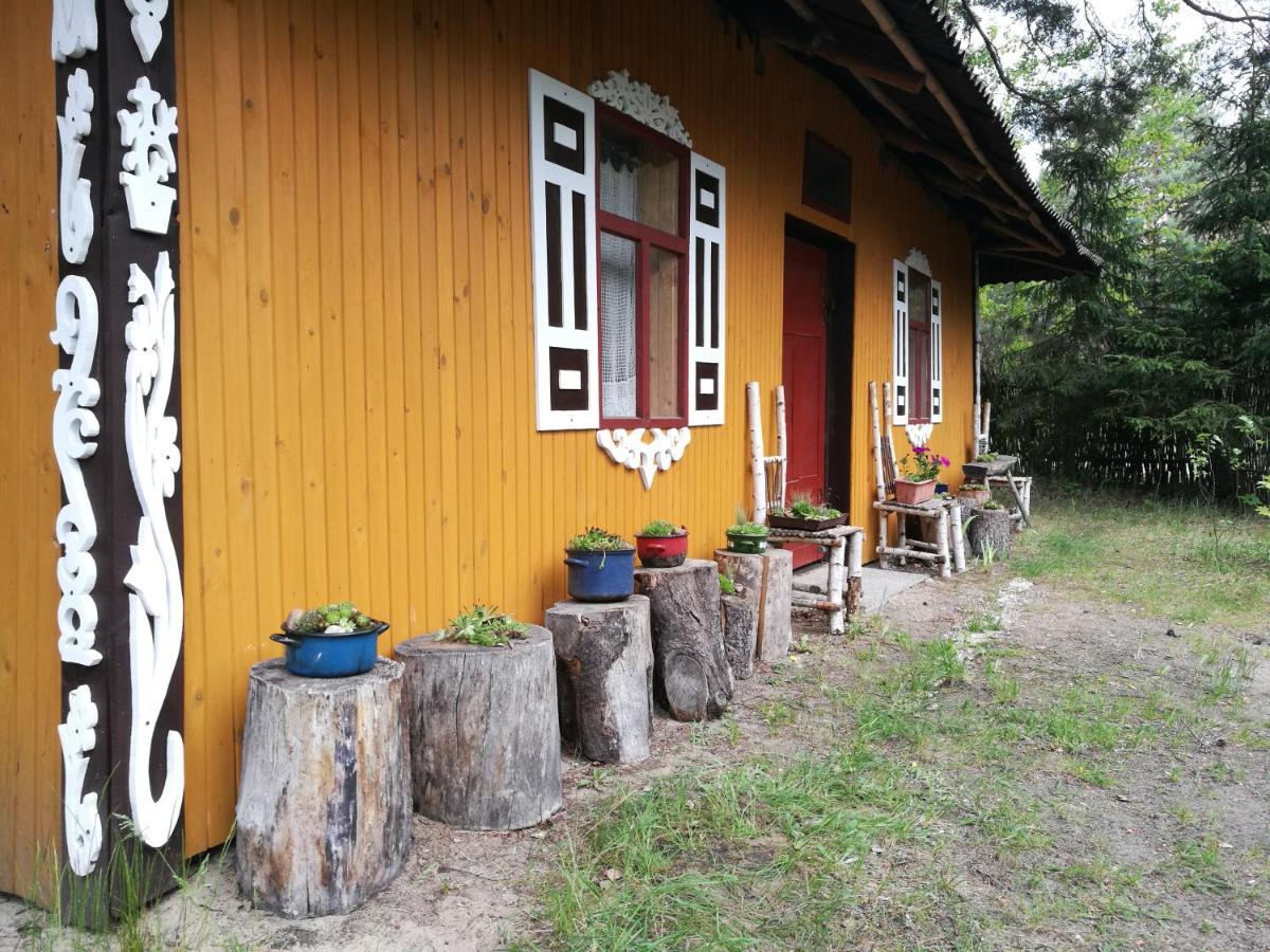 Bora Zdroj - Pokoj Czteroosobowy 1 Narewka Экстерьер фото